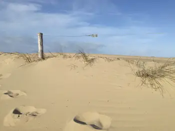 De Panne (België)